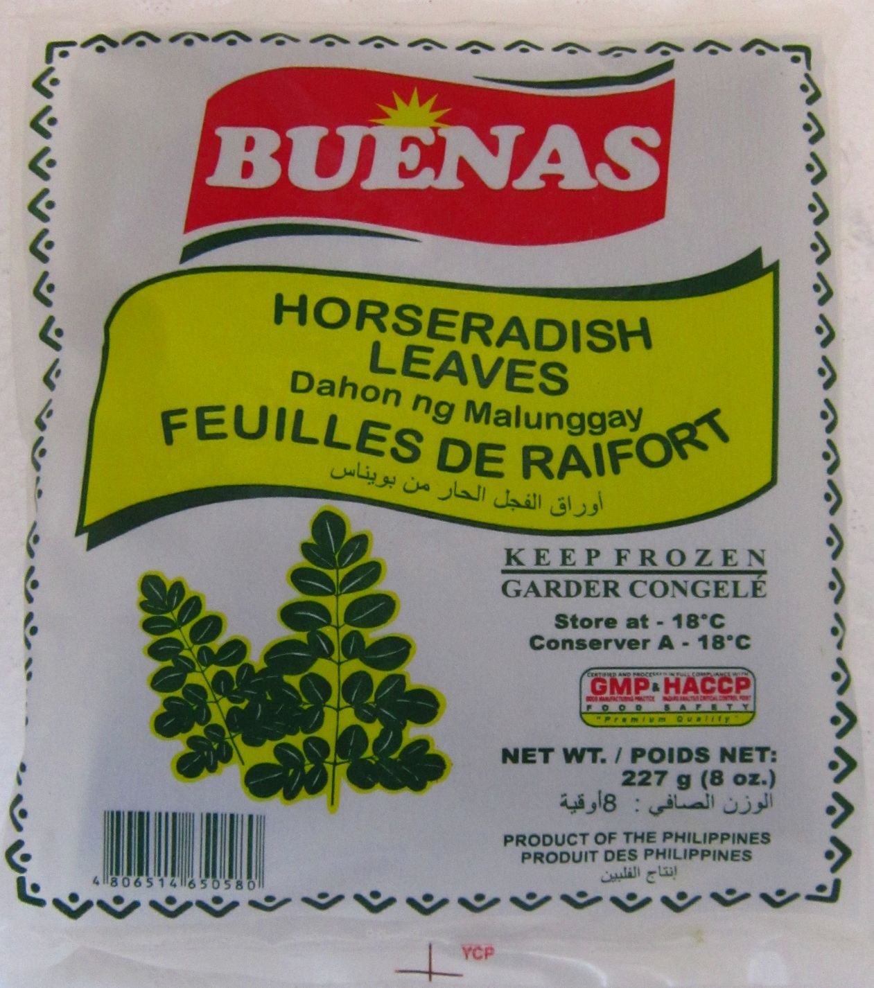 Buenas Horseradish Leaves (Dahon ng Malunggay) Image